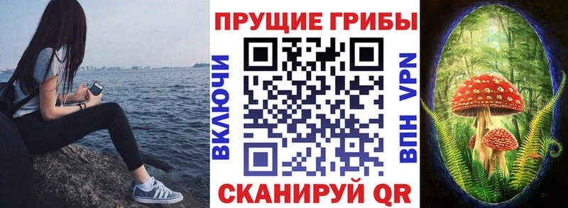 Галлюциногенные грибы Cubensis  OMG зеркало  Тотьма  где можно купить  